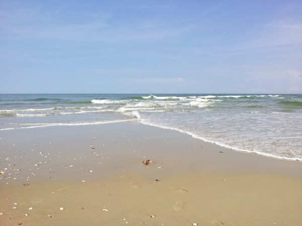 2012-03-16 15.05.31