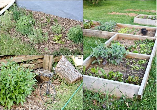 gardeniasBlog