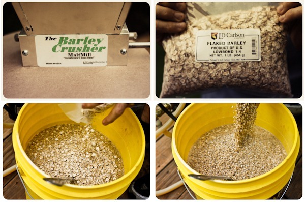 Barley