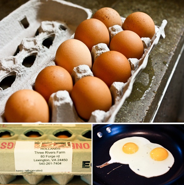 eggs-2