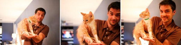 Mattcat