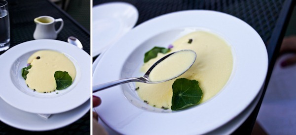 Soup