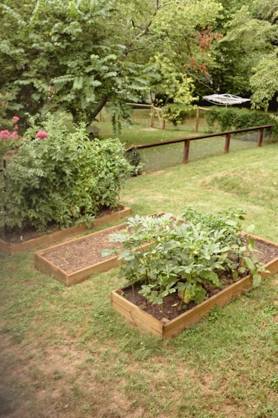 FoodBlogIMG_2238