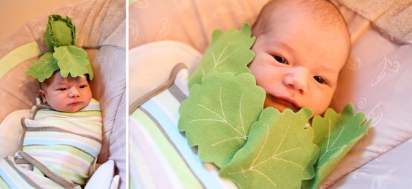 lettucebaby