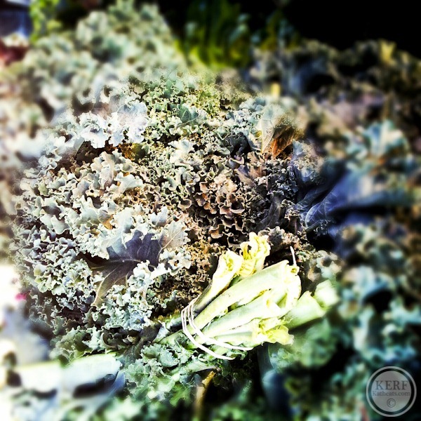 Foodblog-114203