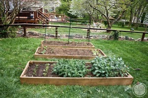 Foodblog-2946_thumb