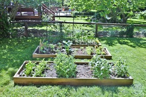 Foodblog-6268