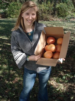 Grapefruit from Mission