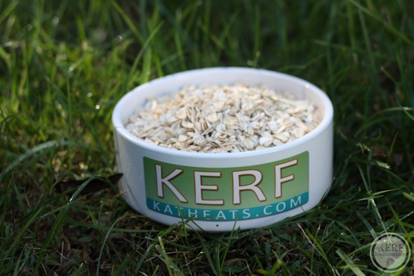 Foodblog-2 oats in a KERF bowl