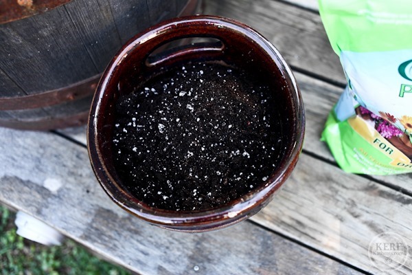 Foodblog-9088 pot with soil