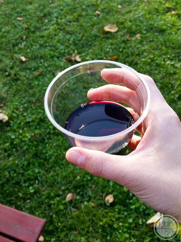 Foodblog-41