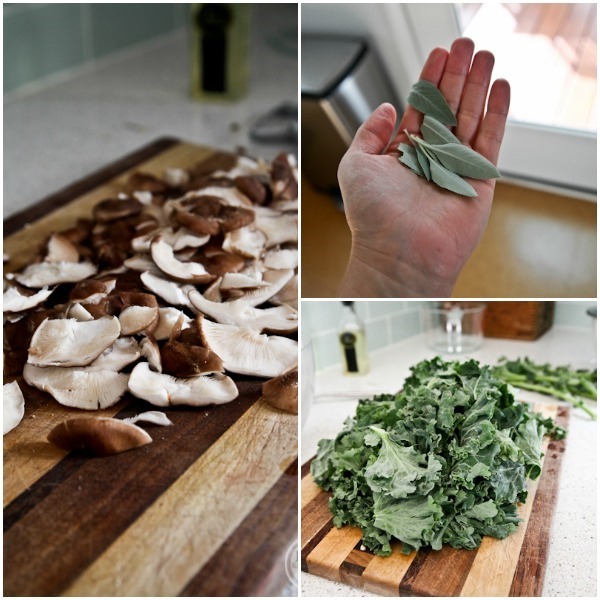 Ingredients Ingredients