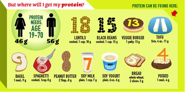 Protein chart Vegetarian Sources of Protein