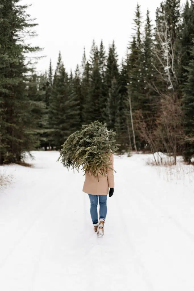 woman carrying christmas tree woman carrying christmas tree | Ways To Stay Healthy This Holiday Season