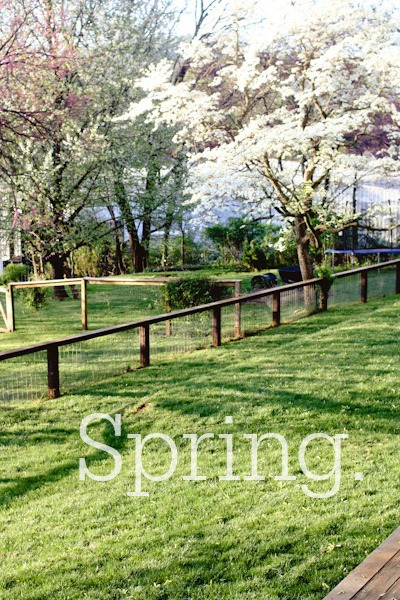 Spring