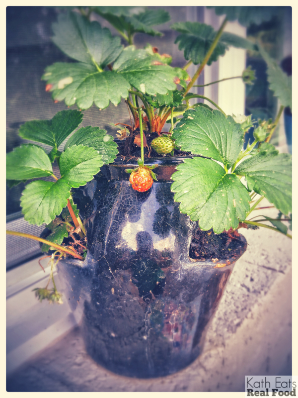 Foodblog (3 of 7)