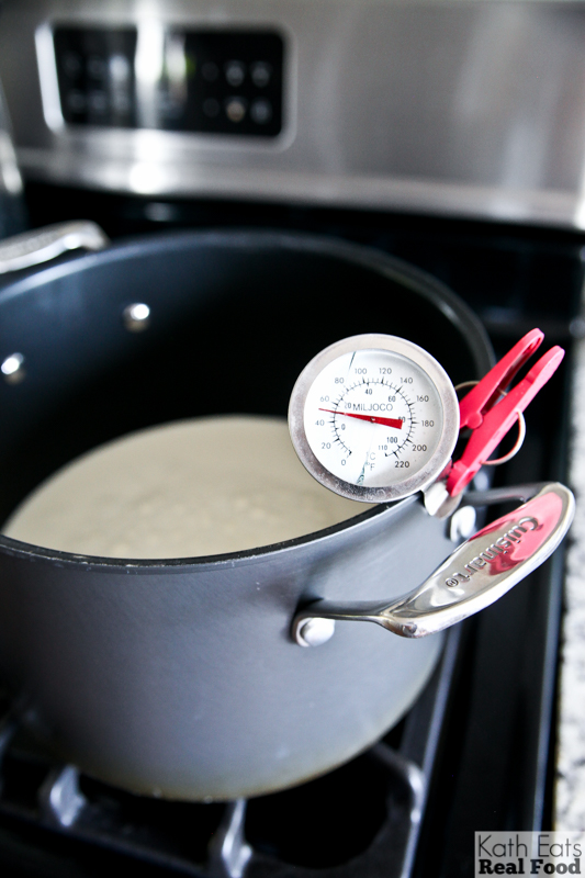 thermometer on yogurt pot