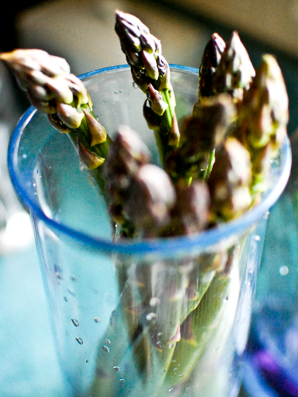 Foodblog (6 of 6)