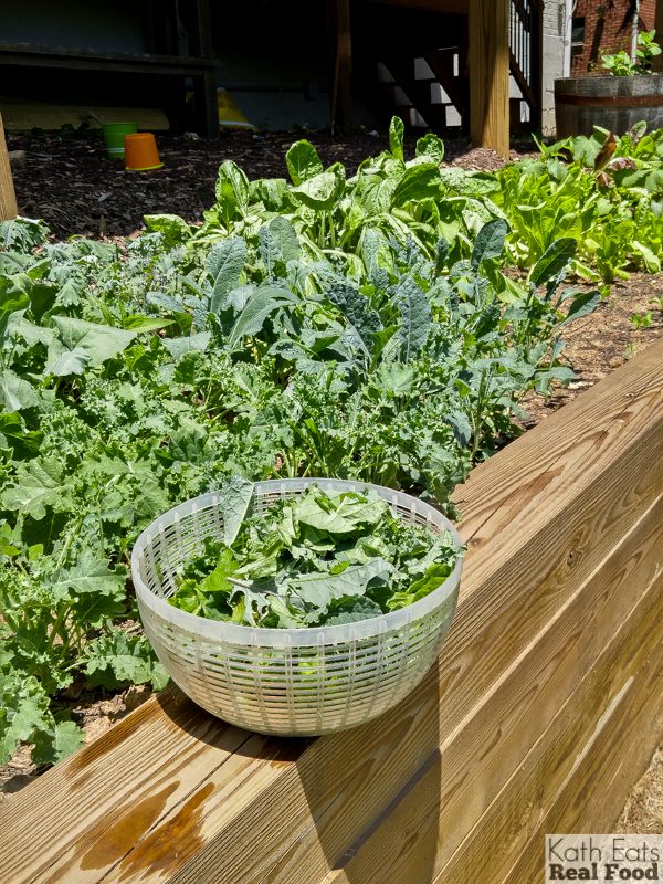 Garden2