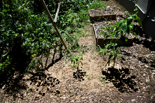 Foodblog (14 of 16)