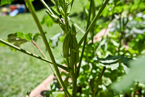 Foodblog (3 of 16)