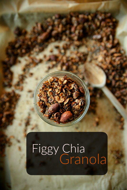Figgy Chia Granola