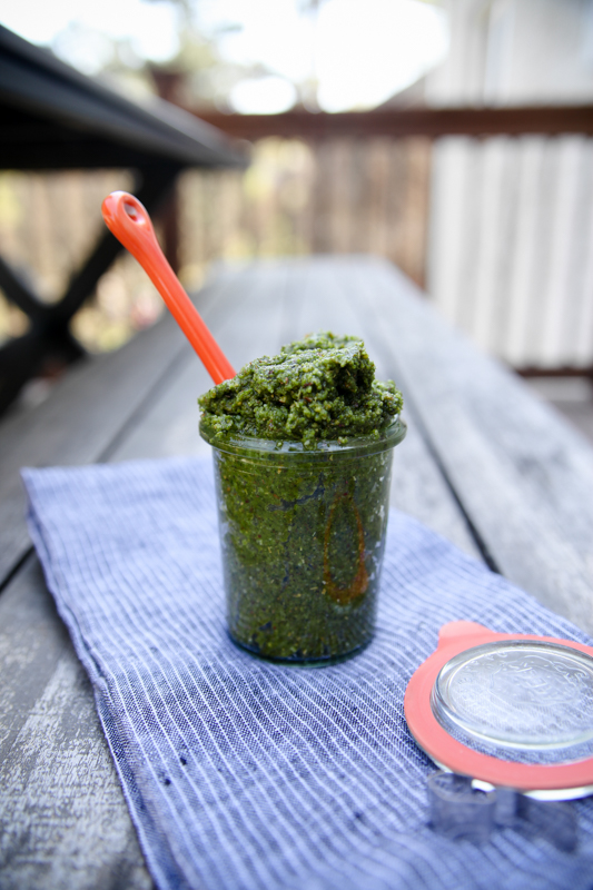 Herbs de Provence Arugula Pesto