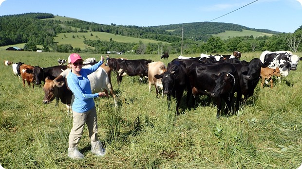 Anne Goes To Organic Valley