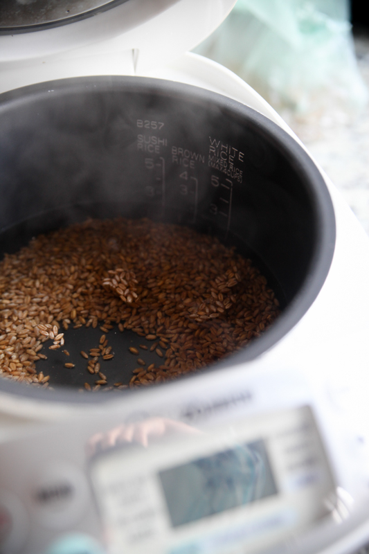 Foodblog (4 of 18)
