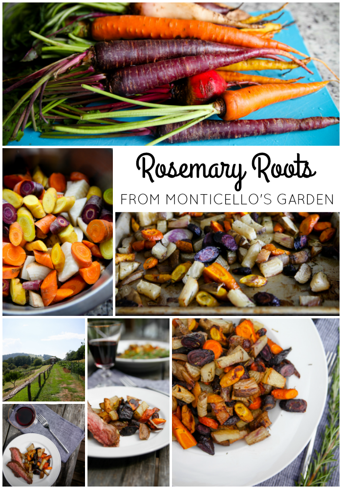 ROSEMARY ROOTS