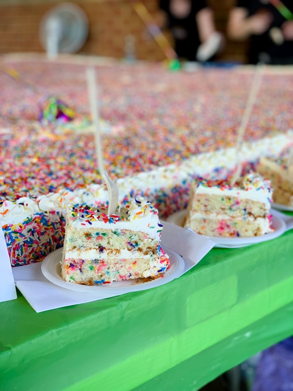 sprinkle layer cake giant 10' sprinkle layer cake