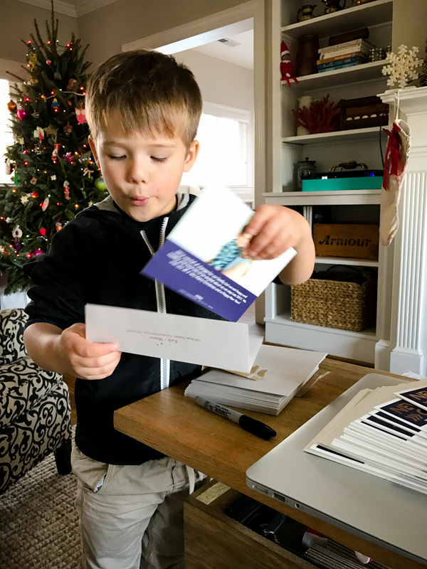New Year Cheer holiday cards
