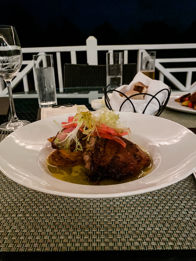 Lavender duck at The Clifton