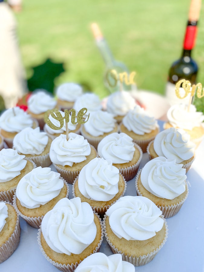 cupcakes - first birthday at King Family Vineyards