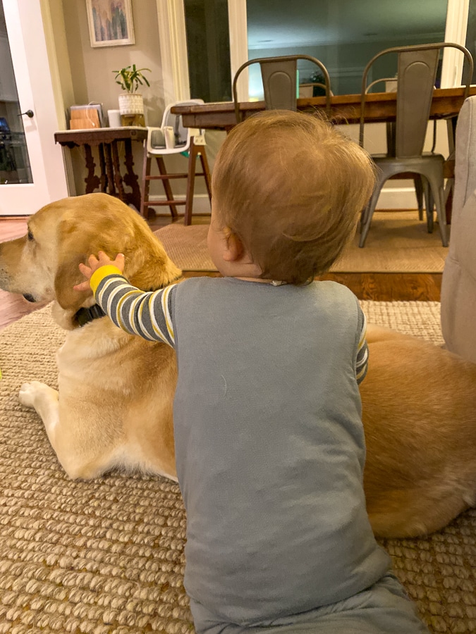 baby and pet