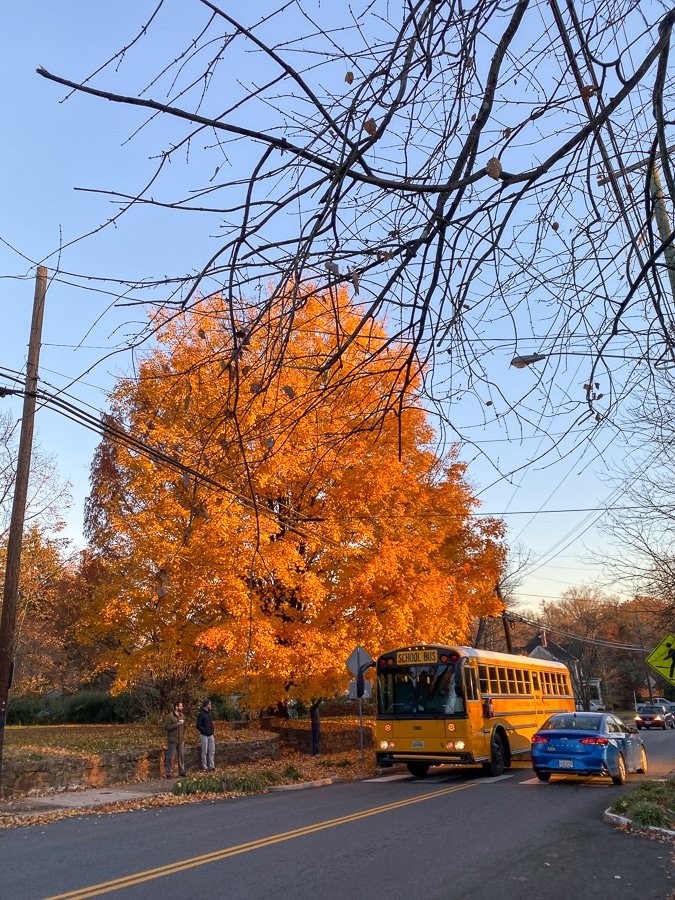 fall