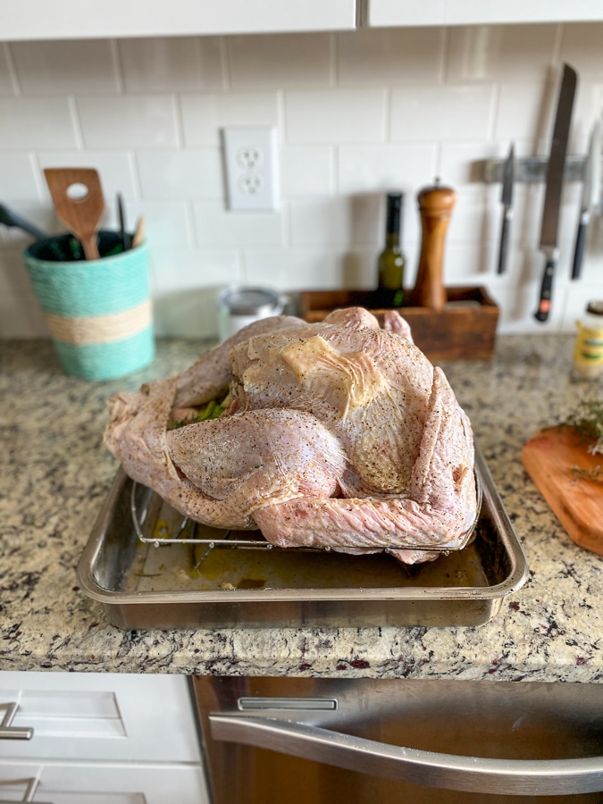 thanksgiving turkey
