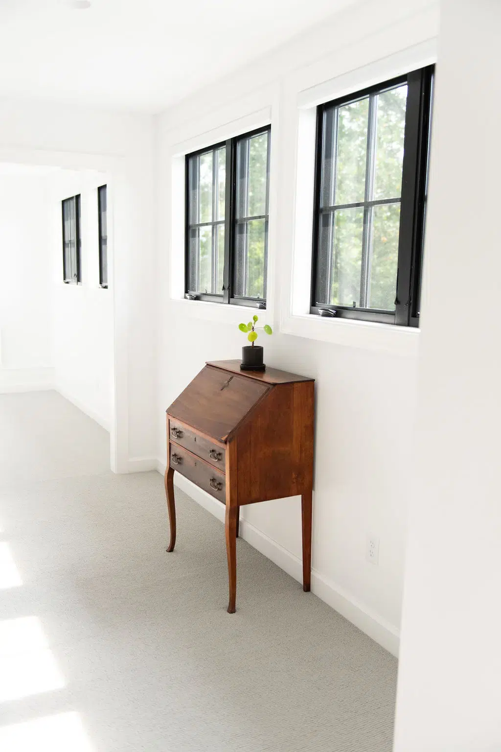Spring Cleaning at home