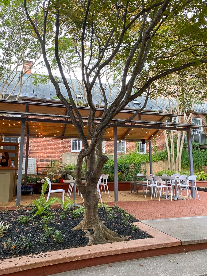 tonic charlottesville restaurant outdoor bar