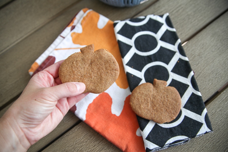 hand holding homemade pumpkin graham cracker
