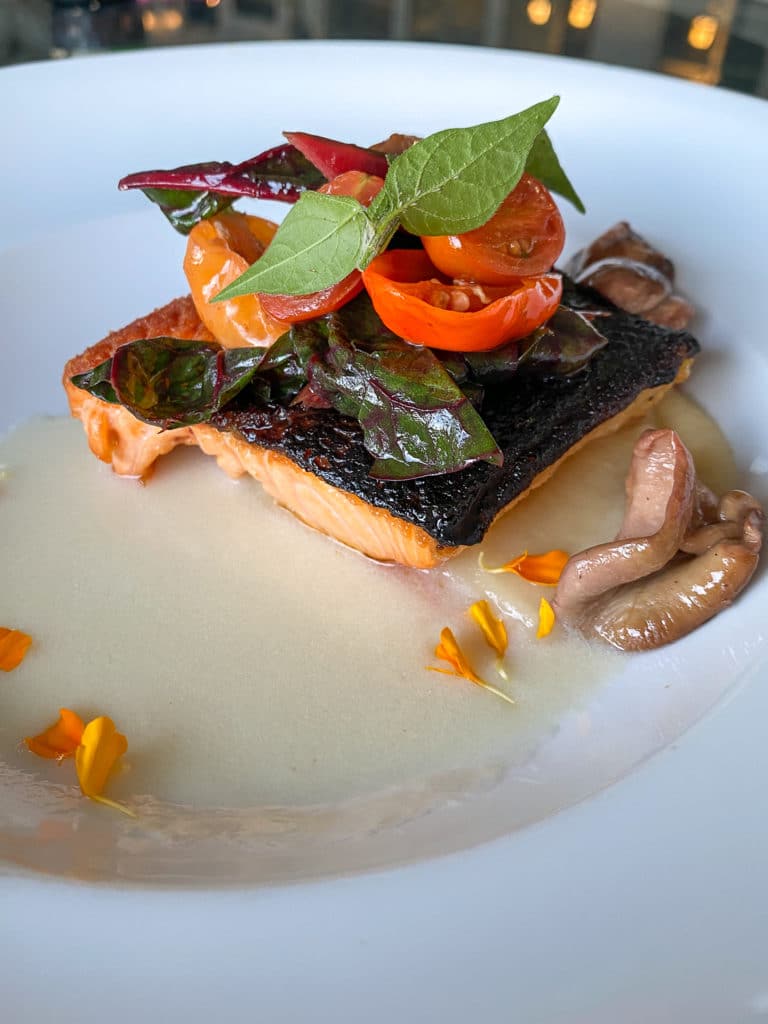 scottish salmon