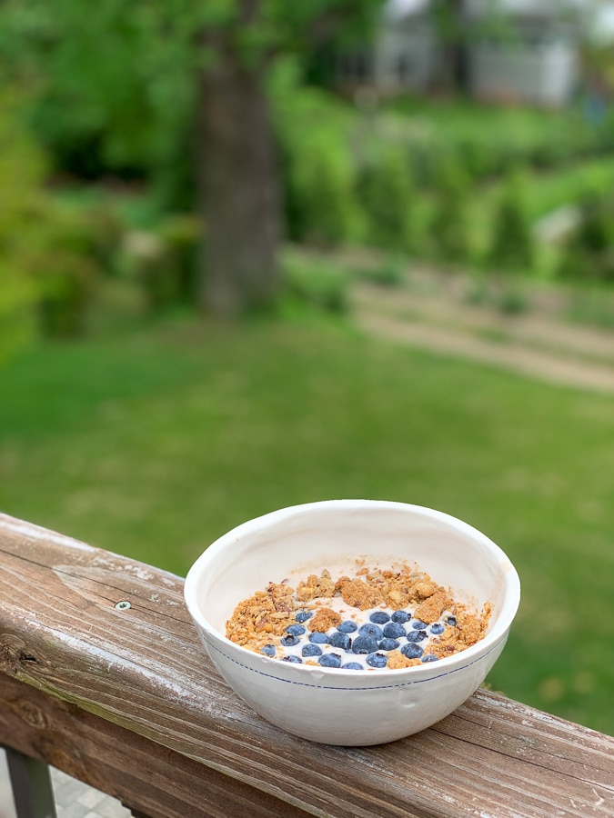 cereal with blueberries in white bowl with grassy background