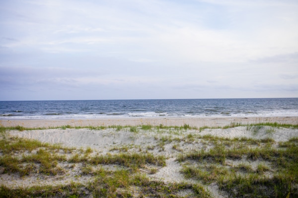 bald head sand dune