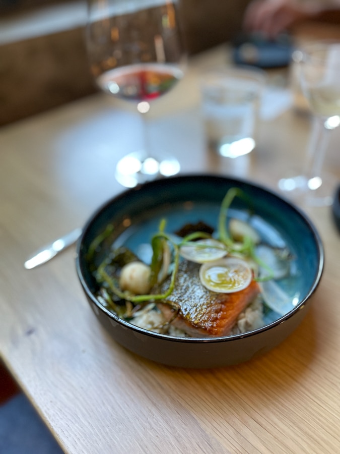 steelhead trout