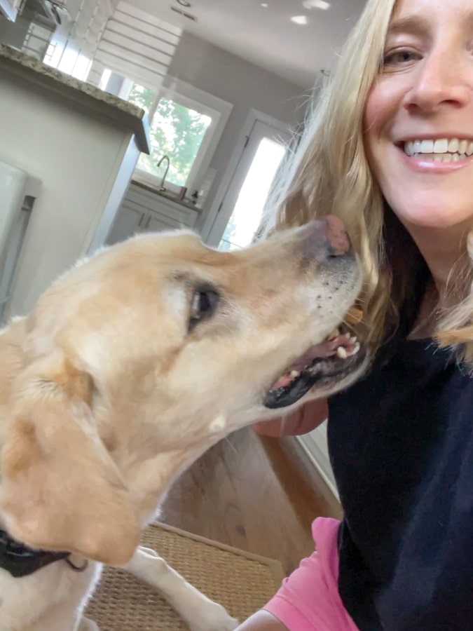 Dog eating treat from Chewy