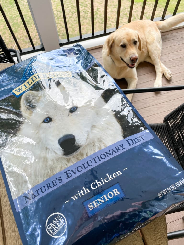 senior dog food from chewy