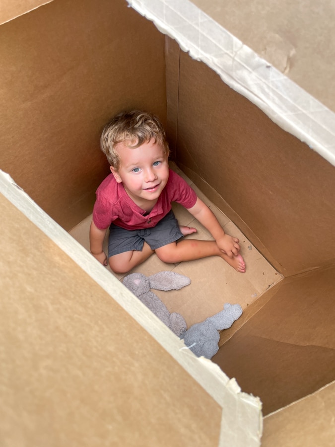 Birch playing in the box