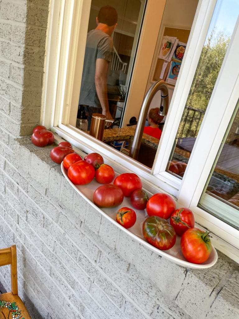 tomatoes from our garden tomatoes from our garden