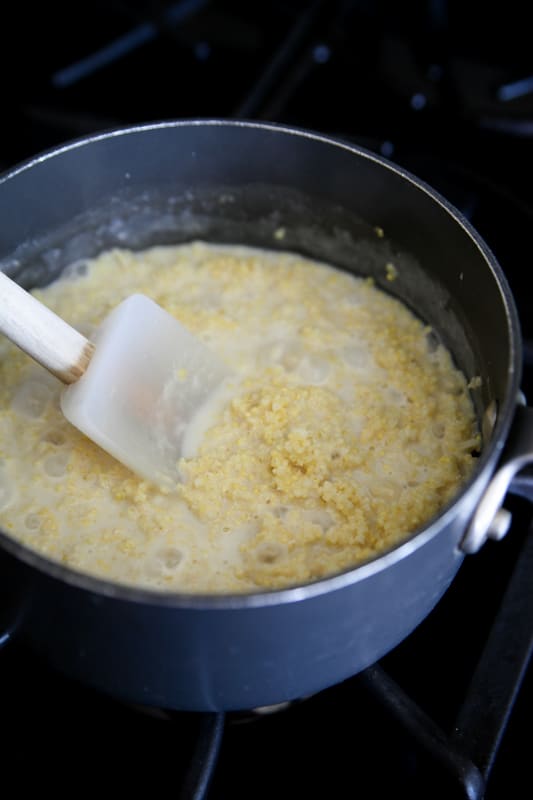 millet porridge with milk millet porridge with milk