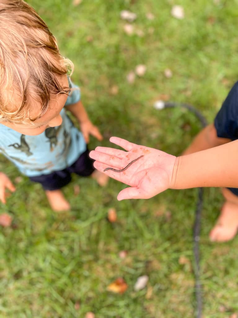 kids worm holding kids worm holding